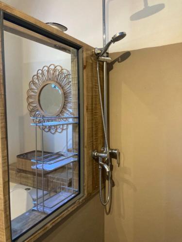 a bathroom door with a mirror and a shower at The Voyager Océan View in Port Mathurin