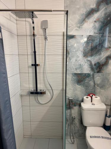 a bathroom with a glass shower with a toilet at Aloha Inn in Artemida