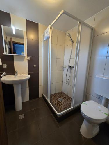 a bathroom with a shower and a toilet and a sink at Pensiunea Transilvania in Sibiu