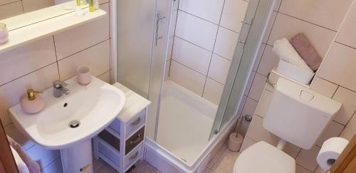 a bathroom with a sink and a shower and a toilet at Apartment Damir in Mali Ston