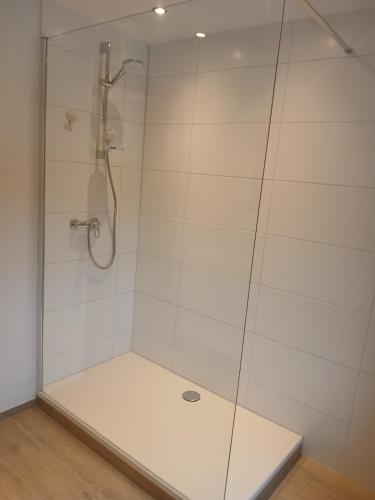 a shower with a glass door in a bathroom at La petite maison de Terre de Partage in Ohey