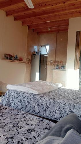 A room to share with someone