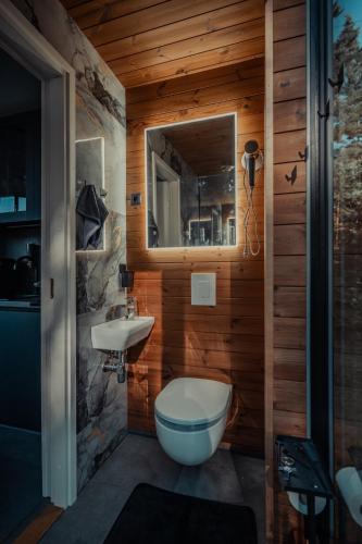 a bathroom with a toilet and a sink at Kihnuvillas - Männirahu in Linaküla