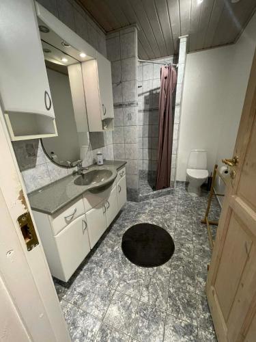 a bathroom with a sink and a shower at Cozy base near the cathedral in Viborg