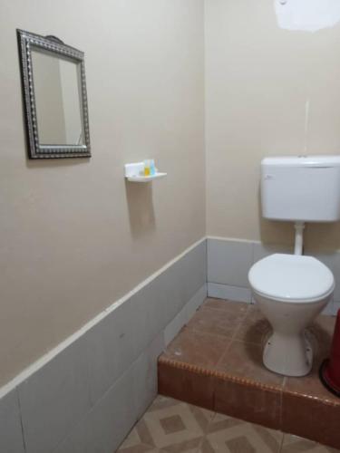 a bathroom with a white toilet and a mirror at Mersing Chalet Teluk Sisek in Kampong Sisek