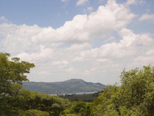 Blick auf einen Berg mit Bäumen im Vordergrund in der Unterkunft Hidden Spaces in Mooinooi
