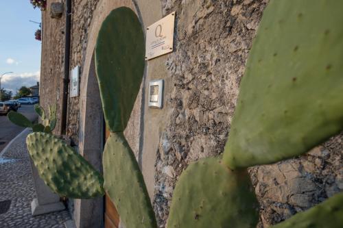 a building with a cactus next to a stone wall at Palazzo Tronconi agriturismo in Arce