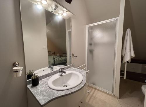 un baño con lavabo y ducha en Le Cocooning, en Luxeuil-les-Bains