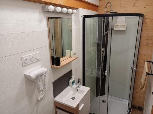 a small bathroom with a shower and a sink at Gîtes Hydra Charme et Nature proche Honfleur en Normandie in Conteville