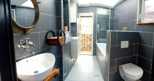 a bathroom with a sink and a toilet and a mirror at Thuis op Flakkee in Ooltgensplaat