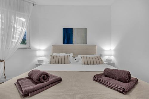 Pet friendly apartment Silver with free parking