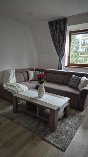 Apartman Raj