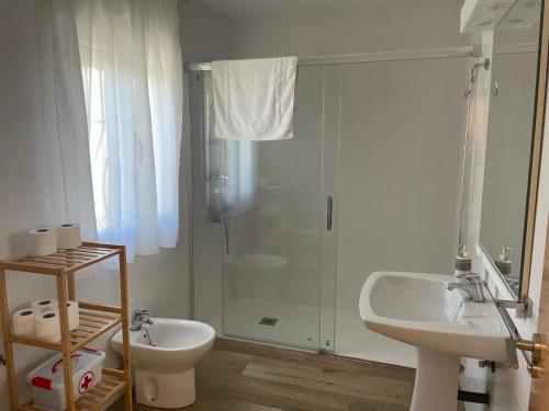 a bathroom with a shower and a sink and a toilet at El Olivar de la Solana in Castril