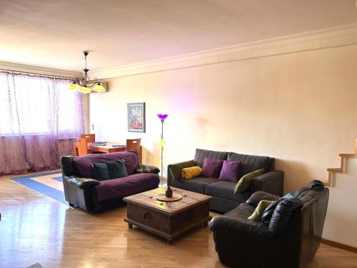 Beautiful appartment in the heart of the city