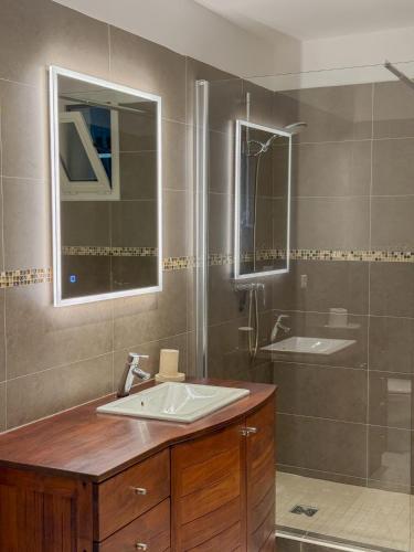 a bathroom with a sink and a shower at Gite Mireille in Carros