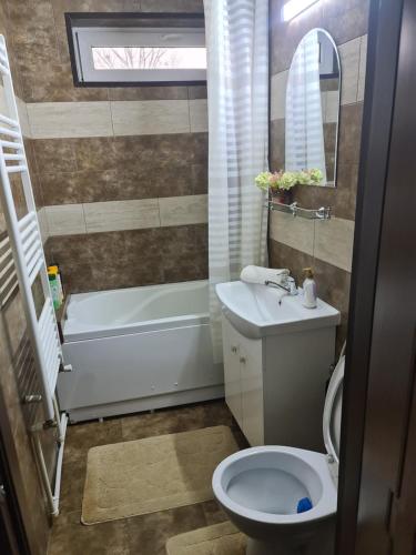 a bathroom with a toilet and a tub and a sink at Casa & Julieta in Tecuci