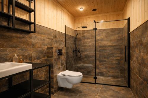 a bathroom with a shower and a toilet and a sink at Apartamenty Leśna Przystań nad jeziorem in Węgorzewo