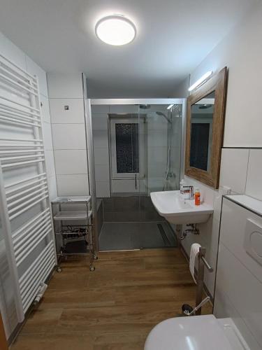a bathroom with a toilet and a sink and a shower at Ferienhaus Bielefeld in Bielefeld