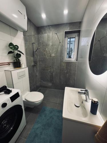 a bathroom with a toilet and a sink and a shower at Štúdio Sihoť - parkovanie a nabíjanie EV in Trenčín