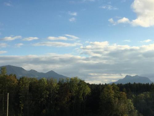 a view of a forest with mountains in the background at Hotel Alpenblick in Riedering
