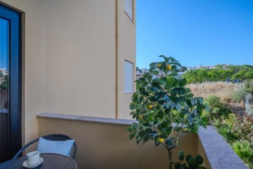 Casa Rocha Portimao with Terrace