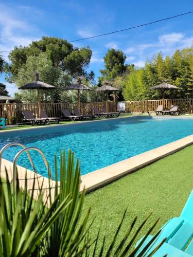 a large swimming pool with blue water and grass at ZEcamping 3 étoiles avec piscine chauffée - bar et restaurant in Pézenas