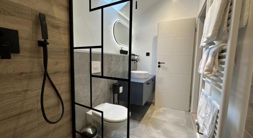 a bathroom with a toilet and a sink and a mirror at Hotel zur Post Dabringhausen - Quiet Business Hotel near Cologne and Dusseldorf Trade Fairs in Wermelskirchen
