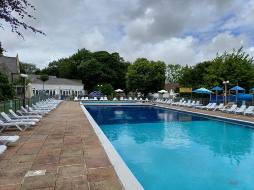 a large swimming pool with lounge chairs and umbrellas at Sunny holiday house in Newquay