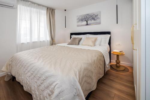 Vitturi Heritage Apartment