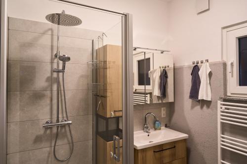 a bathroom with a shower and a sink at Gästewohnung Schöningen in Schöningen