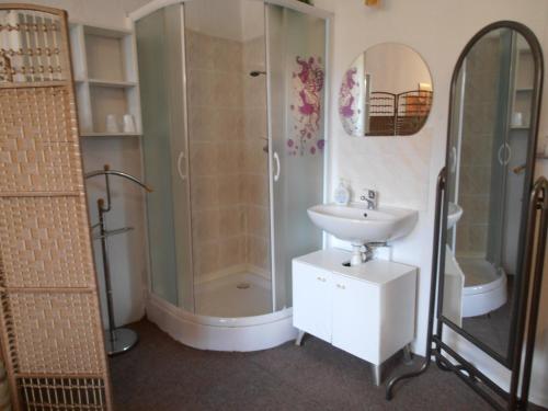 a bathroom with a shower and a sink at Penzion Vlasta in Hřensko