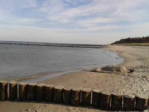 a beach with a pier in the water at Feriendomizil am Hafen in Zingst