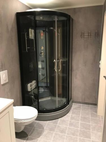 a bathroom with a shower and a toilet in it at Koselig og praktisk studioleilighet in Svolvær