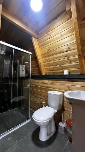 a bathroom with a toilet and a shower and a sink at Akorya bungalov in Ardeşen