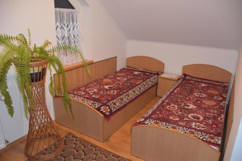 A bed or beds in a room at KÓŃSKO SIGŁA