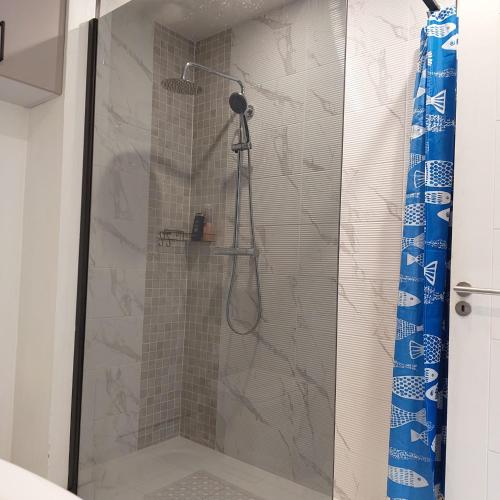 a shower with a glass door in a bathroom at Sea View Apartment in Cobh
