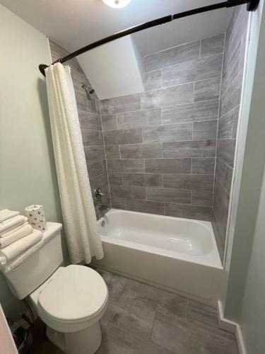 a bathroom with a toilet and a tub and a sink at Bavarian Brook Unit 6 in Helen