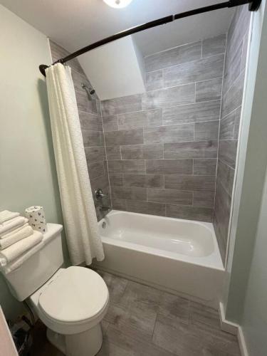 a bathroom with a toilet and a tub and a sink at Bavarian Brook Unit 8 in Helen
