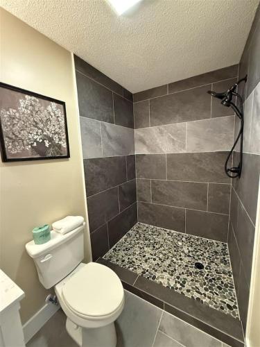 a bathroom with a toilet and a shower at Rivers Edge 703A in Helen