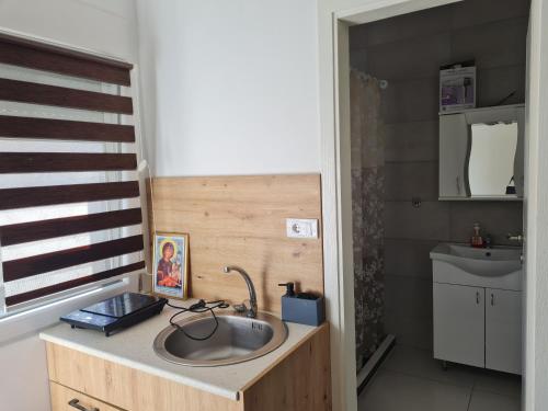 a bathroom with a sink on a counter with a mirror at Smeštaj kod Lazarice Šid in Šid