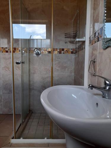 a bathroom with a sink and a shower at THE ROSE BnB in Soweto