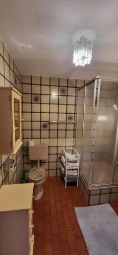 a bathroom with a shower and a toilet at Ferienwohnung Vogelsang in Sachsenheim