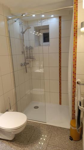 a bathroom with a glass shower with a toilet at Ferienwohnungen Fuchssteige in Heidenheim an der Brenz