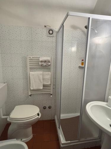 a bathroom with a shower and a toilet and a sink at Il Terrazzino in Cetona