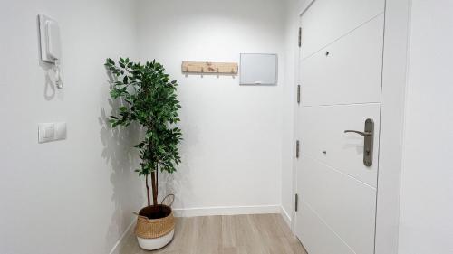 Alamansa 110, Apartamento A