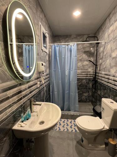 a bathroom with a sink and a toilet and a mirror at Harmony Guest House in Ijevan