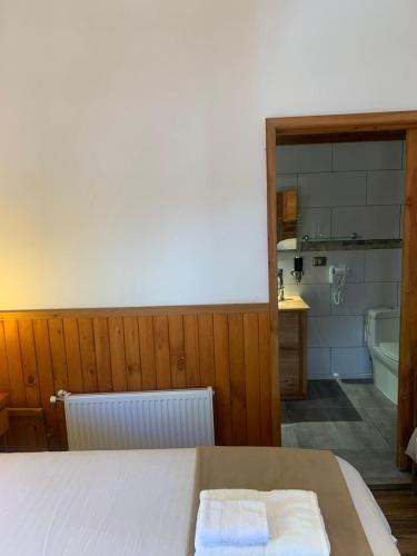 a bedroom with a bed and a bathroom with a tub at HOTEL & HOSTAL CHIL'IN, Las Trancas in Las Trancas