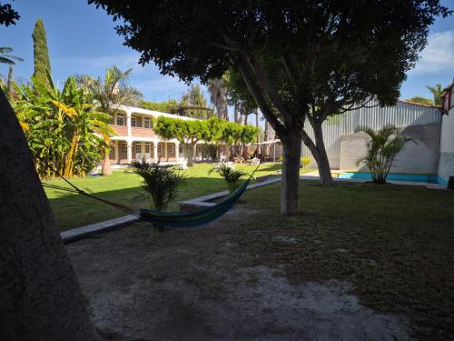 a hammock in a yard next to a house at Hotel de la Cruz in Maguey Blanco