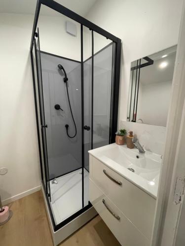 a bathroom with a shower and a sink at Un cocoon spacieux in Les Essarts-le-Roi