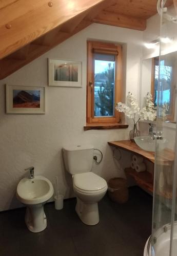a bathroom with a toilet and a sink at Chata Ku Tatrom in Biały Dunajec